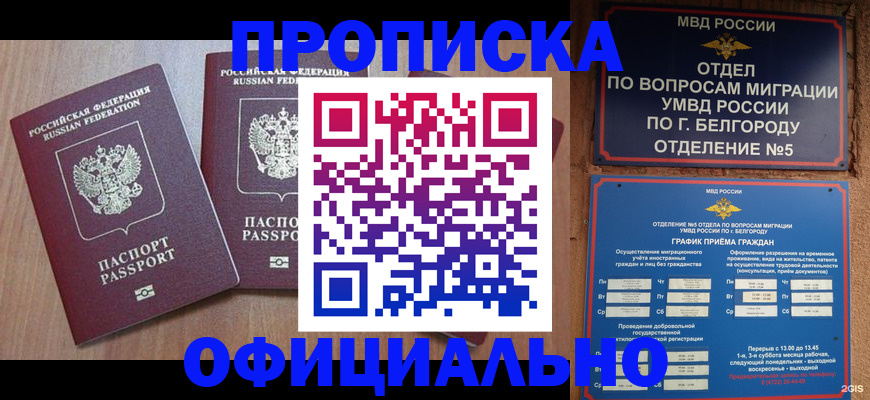 найти адрес прописки в Питкяранте